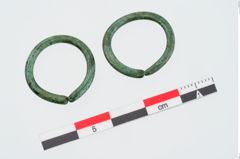 Foto von Bronzering (NHMW-PRAE-024016)